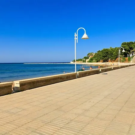 Mares Vyb Denia